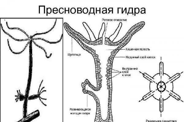 Кракен рабочий сайт