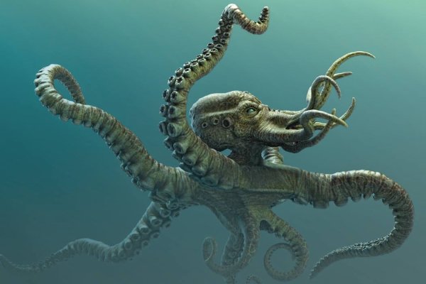 Kraken официальные зеркала