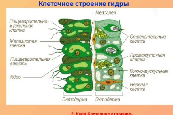 Кракен маркетплейс актуальные ссылки