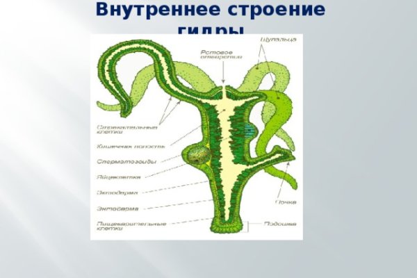 Кракен упал